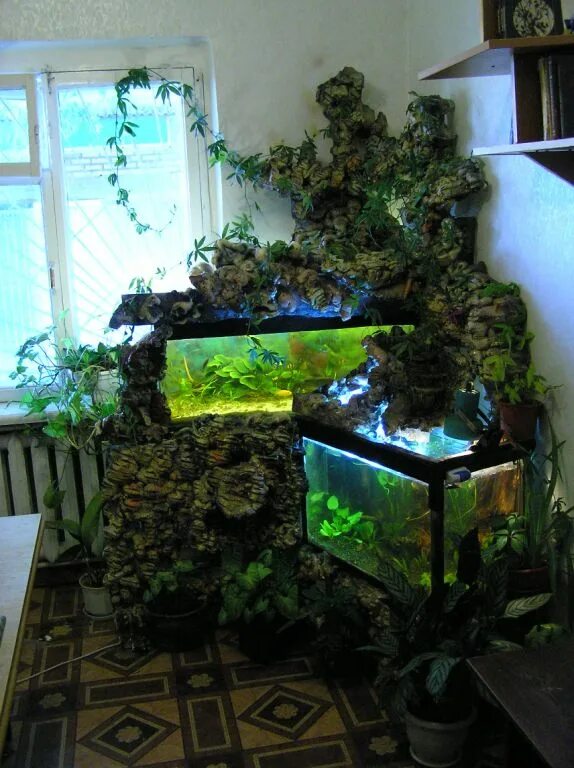 Живой уголок аквариум. Зеленые уголки с аквариумом. Уголок с аквариумом и цветами. Живой уголок в квартире. Живой уголок с аквариумом в квартире.