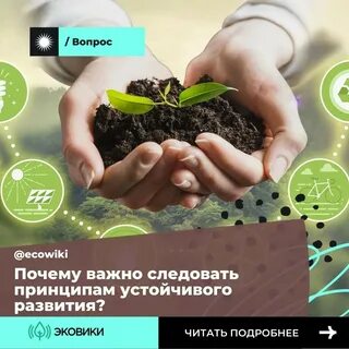 Следуя принципам