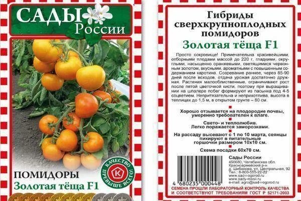 Урожайность томата семеновна. Помидоры Семеновна. Томат Семеновна. Томат Золотая миля. Золотая коллекция томатов.