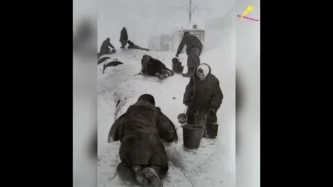 Где брали воду большинство ленинградцев во время