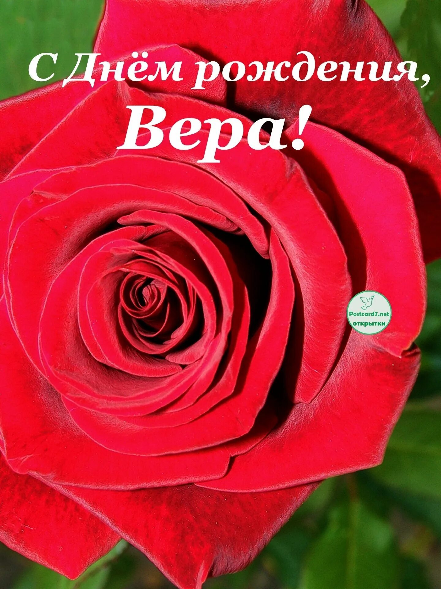 Dear Faith, we congratulate you on the holiday ! We wish you to always believe i