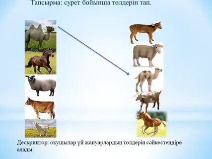 Жалаңаш қыз аяғын көтереді