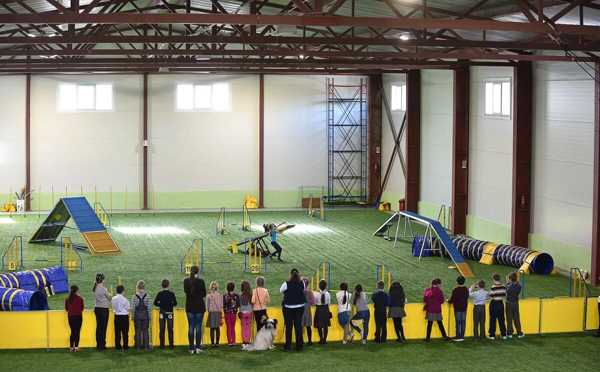 Dogs hall