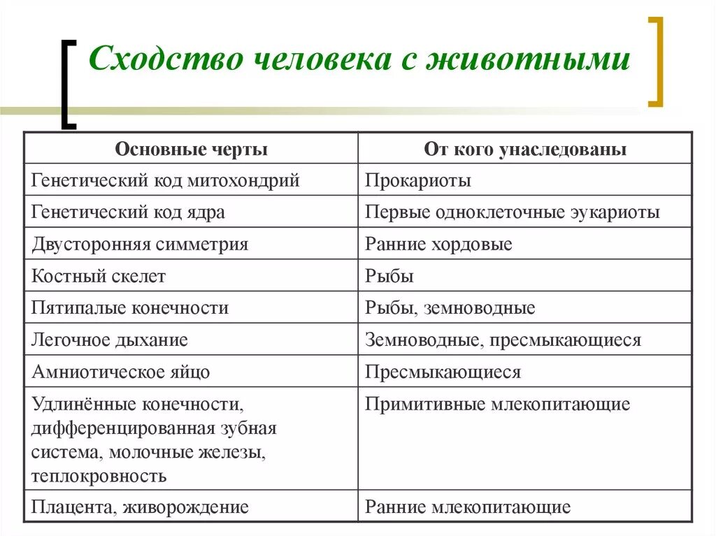 О чем свидетельствует сходство и различие. Сходство и различие животных и человека таблица биология 9 класс. Таблица по биологии 8 класс сходства и различия человека с животным. Таблица по биологии сходство человека и животных. Общие черты человека и животного.