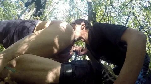 Schlucken Sie im Wald 