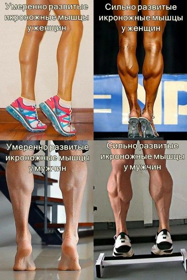 Качаем ноги девушке. Тренировка икроножных мышц. Упражнения для икронодныхмышц. Упражнения для икроножных мышц. Упражнения на икры ног.