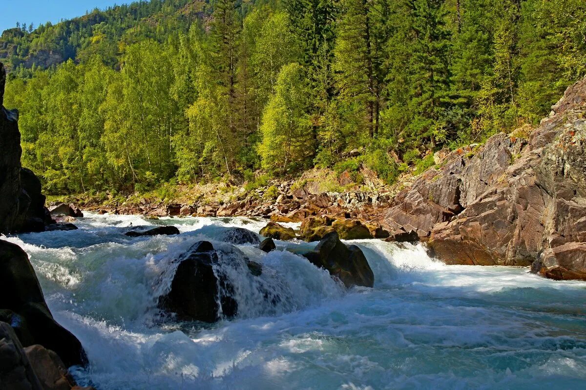 девичьи плесы на реке кумир. река кумир горный алтай. река кумир горный алтай девичьи плесы. река кумир горный алтай девичьи плесы. девичьи плесы горный алтай.