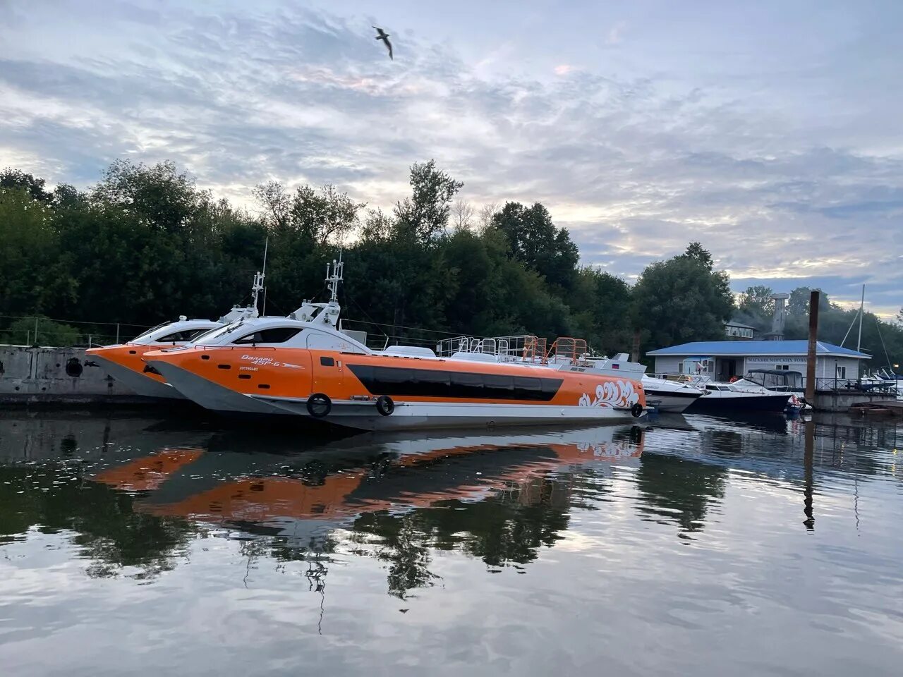Сайт водолет. Валдай 45р. спк валдай 45р. валдай водолет. водолет нижний новгород валдай.