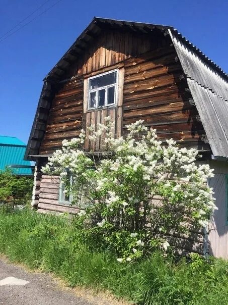 Коллективный сад малахит. Коллективный сад малахит. Снт малахит-1. Коллективный сад малахит. О.