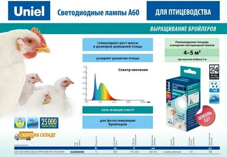 Свет бройлерам ночью