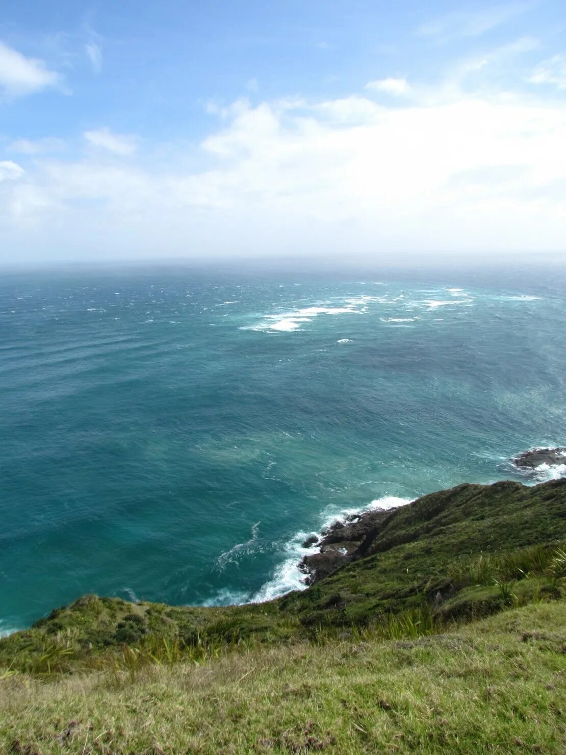 Тасманово море и тихий океан. Новая Зеландия тасманово море. Новая Зеландия море океан.
