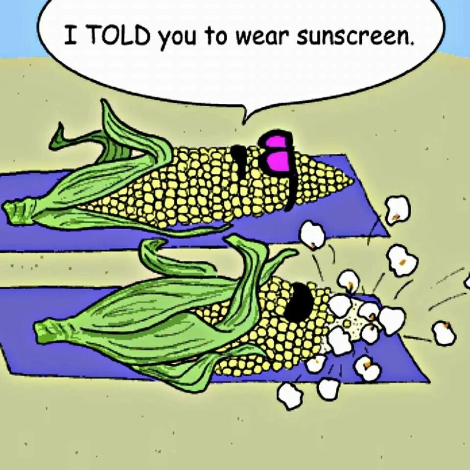 Summer jokes. Кукуруза прикол. Анекдот про кукурузу. Шутки про кукурузу. Кукуруза смешная шутка.
