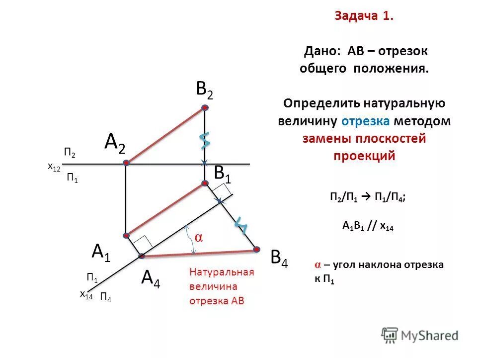 Функции общего положения. Натуральную величину отрезка CD определяет проекция. Отрезок общего положения. Натуральная величина плоскости общего положения. Натуральная величина отрезка и угол наклона.