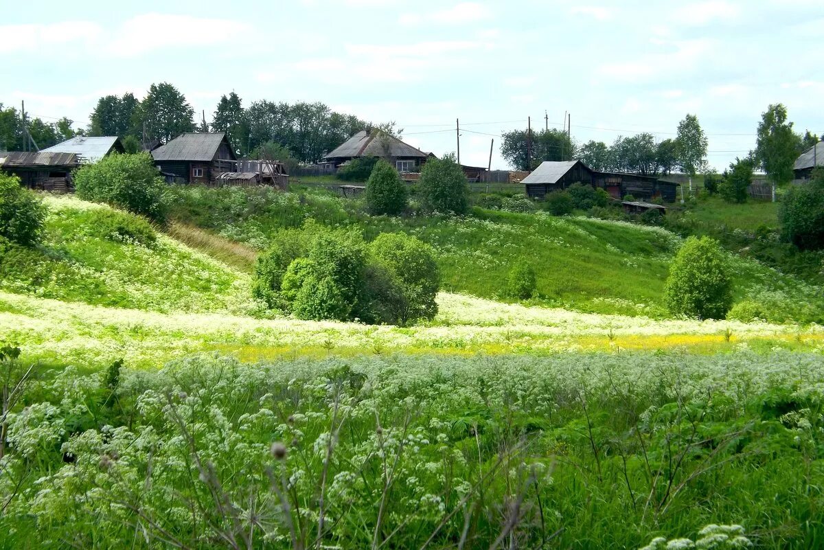 Милашки село. Деревня моя деревенька колхозница. Лето в деревне. Родина деревня. Вид на деревню.