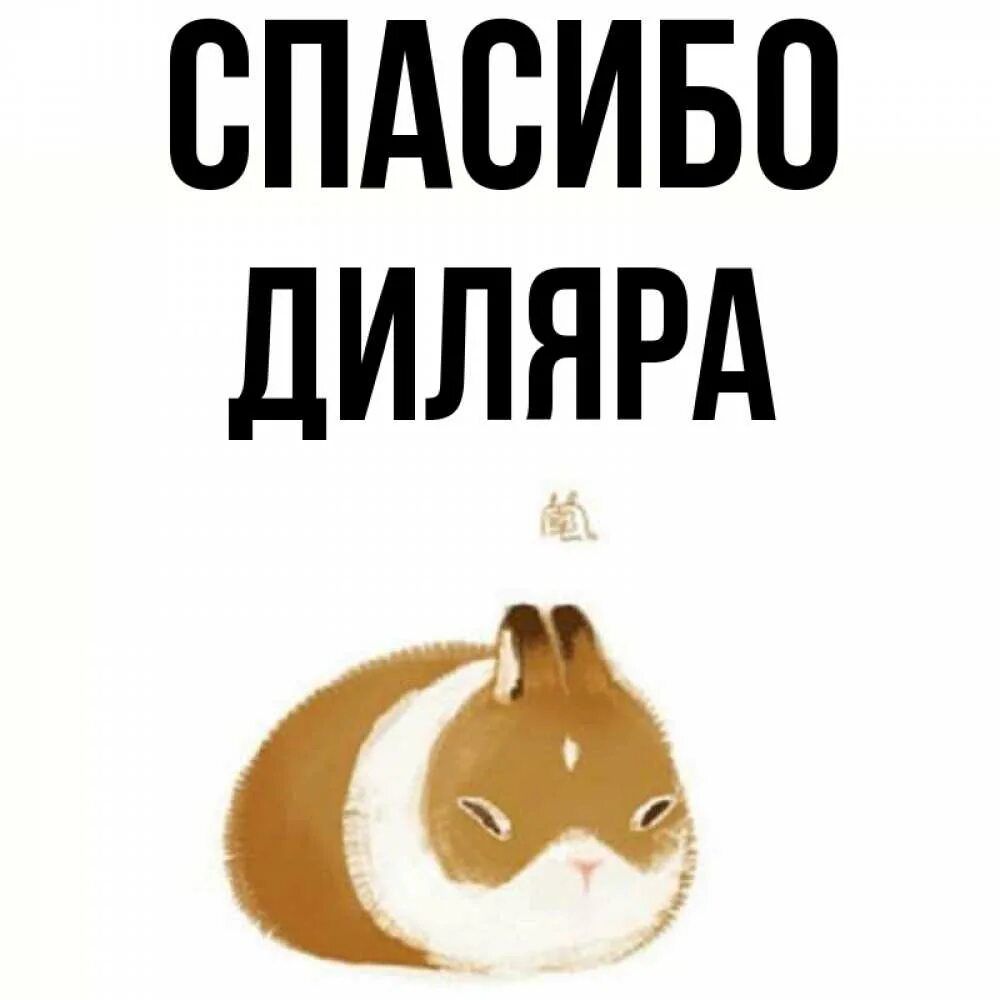 Диляра значение. Приколы с именем диляра. спасибо диляра.. картинки с именем диляра. спасибо диляра картинка.