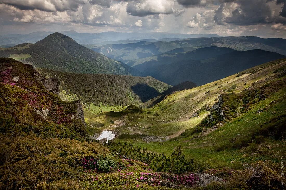 Карпаты Молдавия. Молдова горы Карпатские. Карпаты часть Альп. Карпатские горы Румыния.
