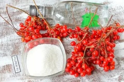 Экстракт калины