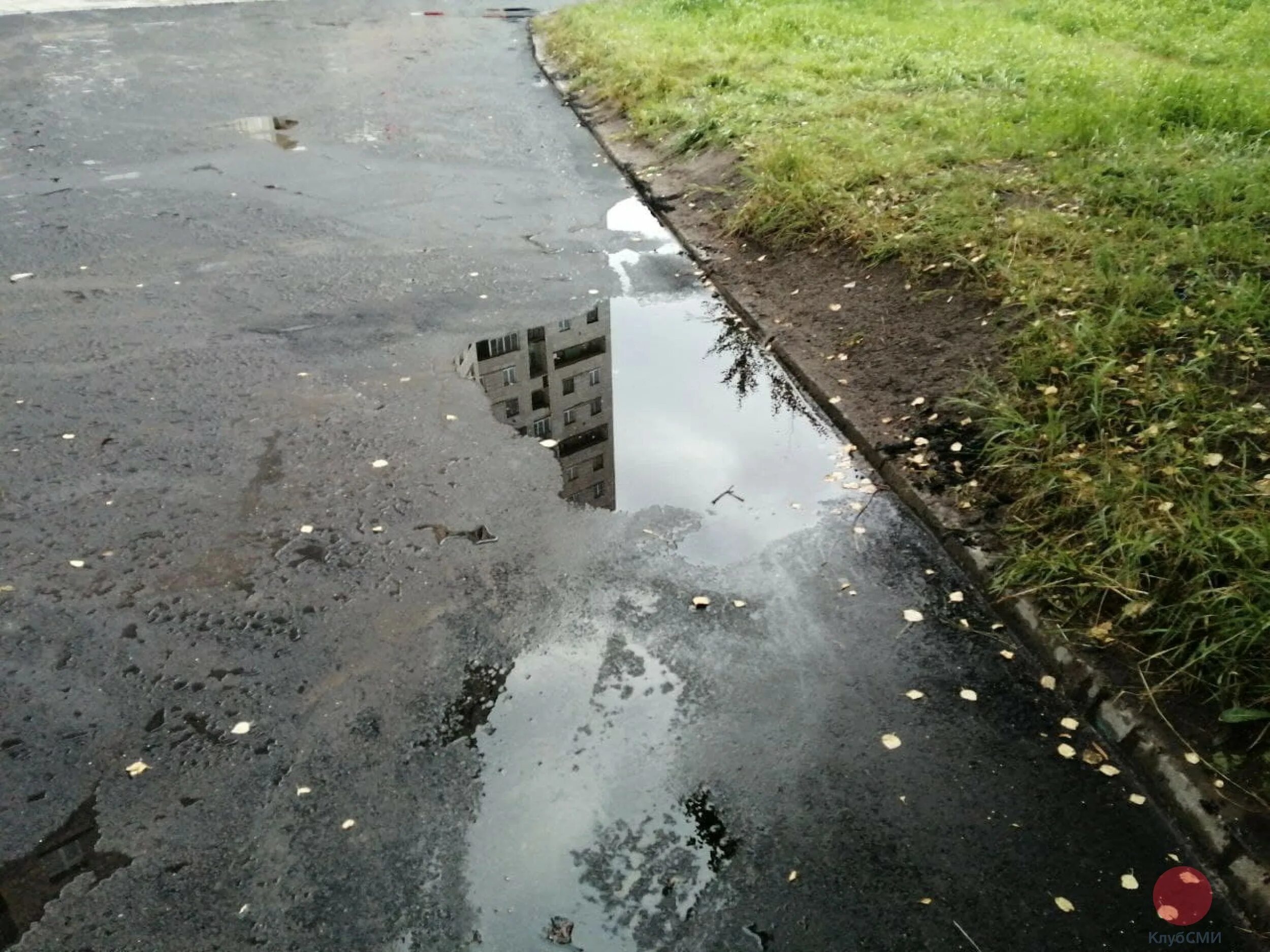 После дождя у школьного крыльца образовалась лужа