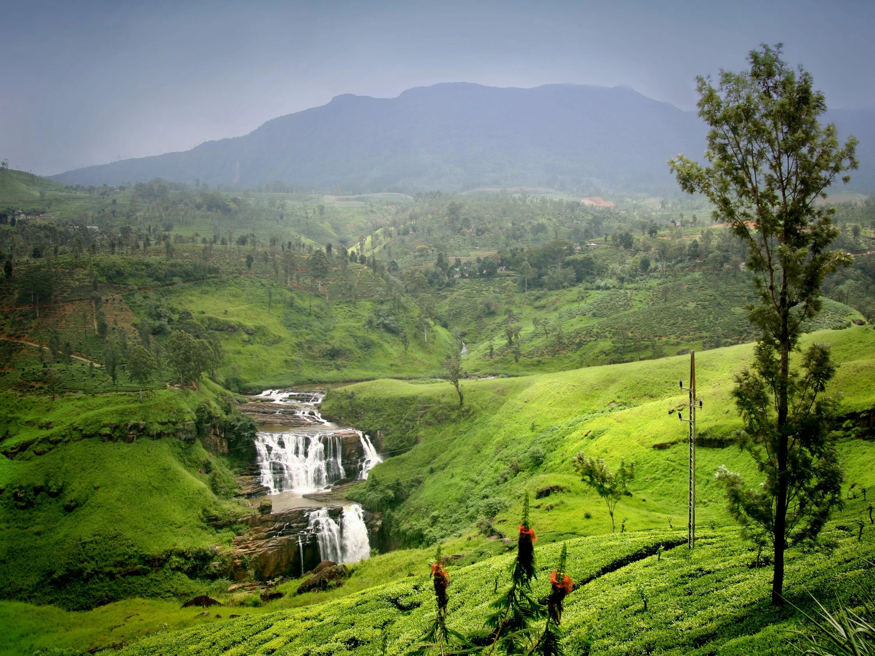 Nuwara Eliya Шри Ланка. Шри Ланка территория. Горы на Цейлоне. Остров Цейлон. Республика шри