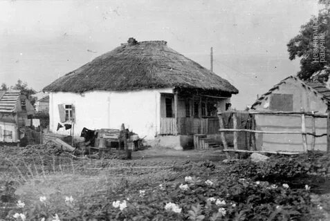 Поселение кубань