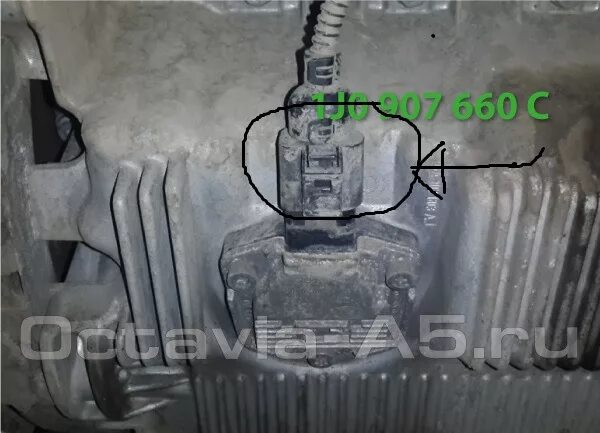 Датчик уровня масла шкода а5. Датчик уровня масла skoda octavia 1.6 mpi.