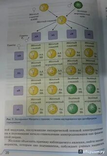 Естествознание 11 класс габриелян