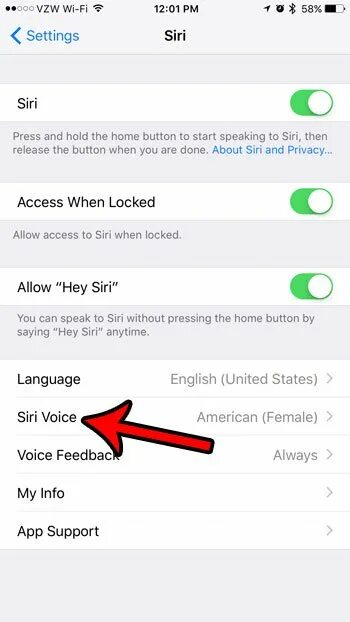 Программа айфон на голос. Как изменить голос siri на iphone. как поменять голос сири на айфоне. как изменить голос на айфоне. смена голоса сири на айфон.