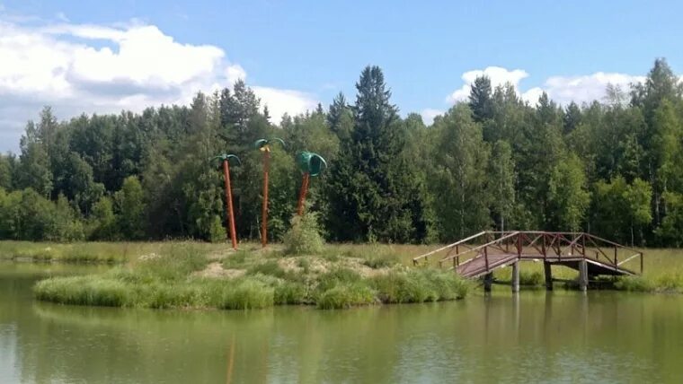 Кп новый мир владимирская область на карте. Село сокол владимирская область. Снт новый мир владимирская область. Коттеджный поселок новый мир владимирская область. Новый мир кп алексино.