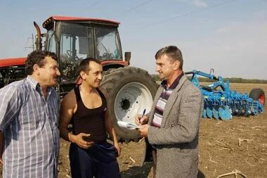 Совхоз ростовский