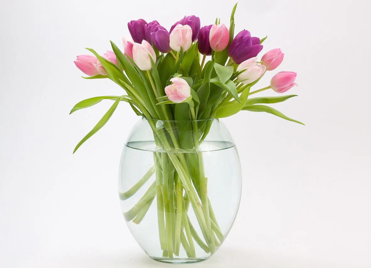 Весенние цветы v vaze. Цветы в прозрачной вазе. Ваза с тюльпанами. Красивый букет в вазе. Чтобы тюльпаны дольше сохранились