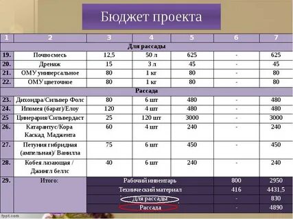 Проект бюджетирование в школе