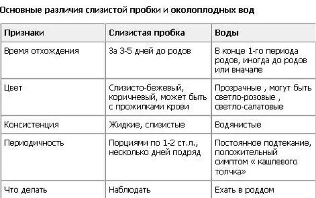 Сколько длятся ложные. Отошла слизистая пробка.