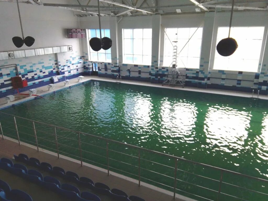 Дворец единоборств брянскбассен. Дворец единоборств брянск бассейн. Открытие бассейна. Дворец единоборств брянск планировка. Открытие дворца единоборств в брянске.