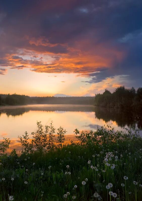 Пейзаж закат. Июньский пейзаж. Поле вечером. Вечерний июнь. Июль вечер.