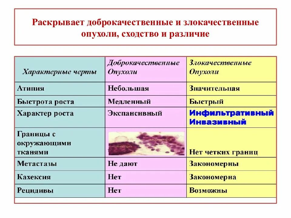 Злокачественная и доброкачественная опухоль различия. Различия доброкачественны Хи злокачественных опуолей. Доброкачественные и злокачественные опухоли. Симптомы доброкачественных и злокачественных опухолей. Как определить доброкачественная или злокачественная опухоль