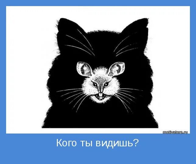 Что вы видитеинс картинке. Какое число вы видите на картинке. Какое число вы видите. Как узнать как ты видишь. Как узнать как ты видишь.