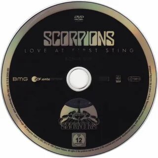 Sting scorpions