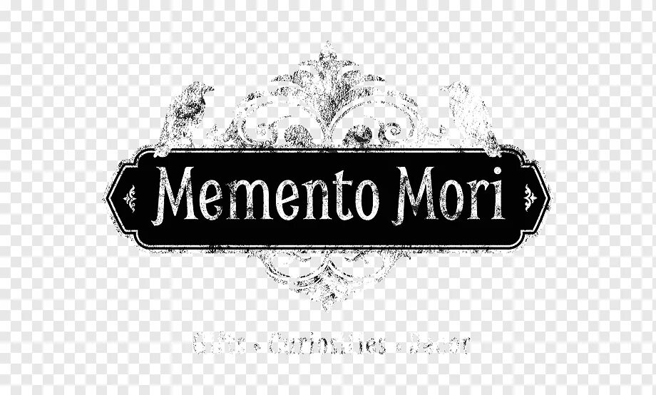 Язык мори. Язык мори. С чего начать изучение японского. Язык мори. Язык мори.