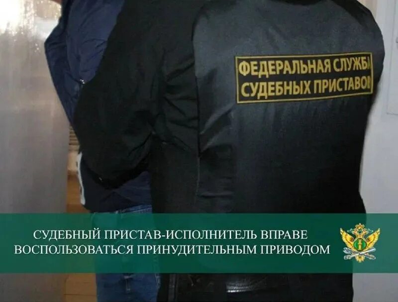 функции федеральной службы наказаний рф. основные функции органов юстиции. судебный пристав в уголовном процессе. вгую. функции органы.