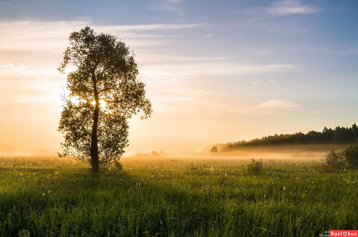 Родной рассвет. Пейзажи подмосковья. Река солнце. Родной рассвет. Родной рассвет.