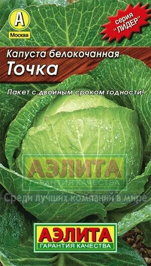 Сорт капусты точка отзывы. Капуста белокочанная точка. капуста точка описание. капуста до весны б/к аэл.