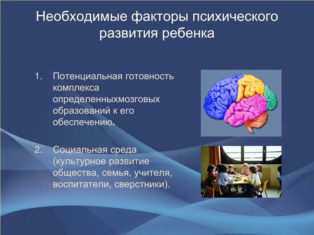 Фактор развития головного мозга. Факторы влияющие на развитие головного мозга. Среда как фактор психического развития. Социальная среда как фактор психического развития это.