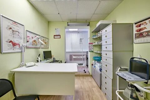 Ветклиника пермь