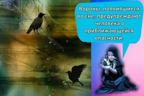 Ворон во сне к чему снится