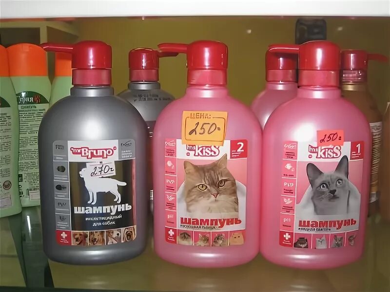 Каким шампунем можно мыть котенка