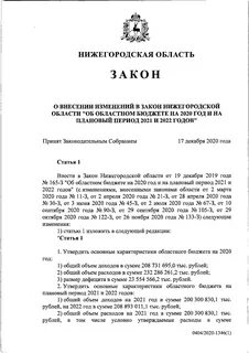 Закон нижегородской