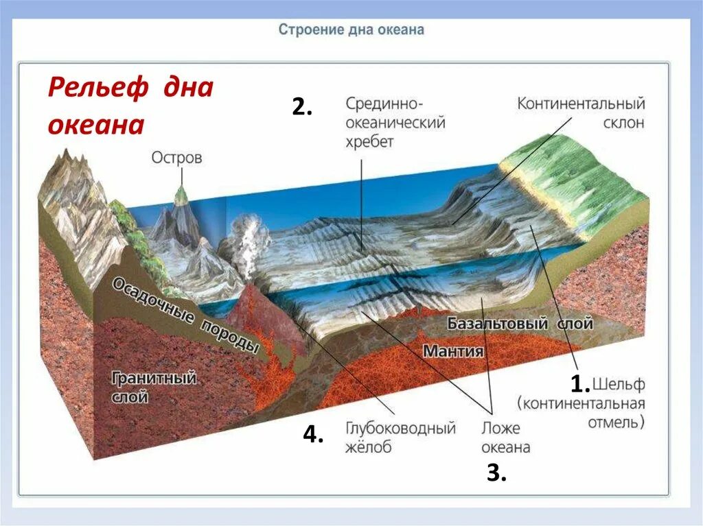 Форма рельефа дна океана. Схема строения дна мирового океана. Рельеф дна мирового океана 7 класс география. Схема рельефа океанического дна. Строение дна мирового океана 6 класс география.