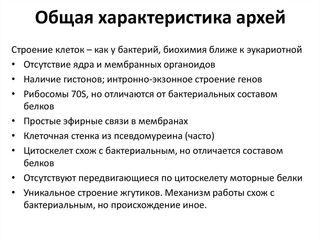 Общие свойства бактерий. Характеристика архебактерий кратко. Характеристика царства археи. Признаки Архей. Архебактерии особенности строения.