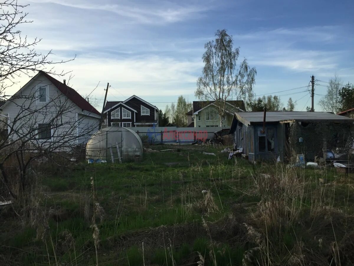 Снт разлив сайт. Садоводство разлив. Снт разлив сайт. Карта снт разлив сестрорецк. Снт разлив спб.