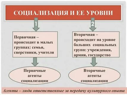 Текст социализация егэ